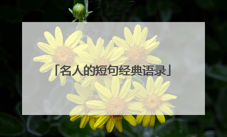 名人的短句经典语录