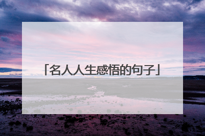 名人人生感悟的句子
