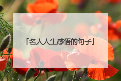 名人人生感悟的句子