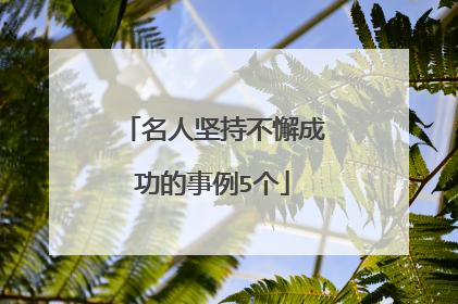 名人坚持不懈成功的事例5个