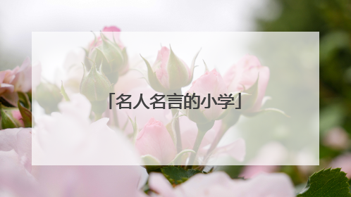 名人名言的小学
