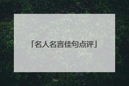 名人名言佳句点评