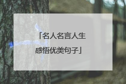 名人名言人生感悟优美句子