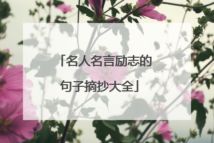 名人名言励志的句子摘抄大全