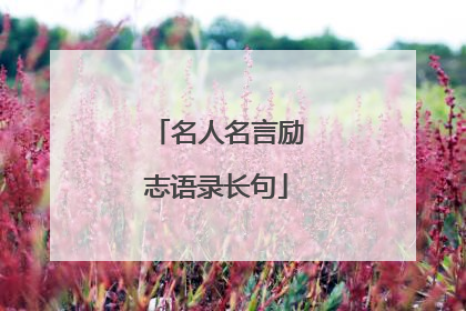 名人名言励志语录长句
