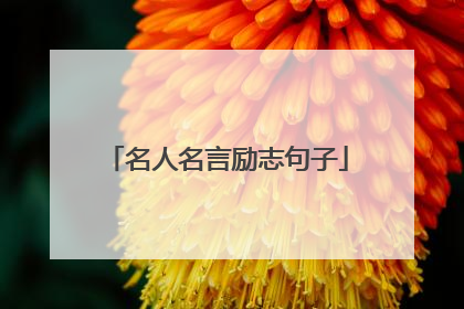 名人名言励志句子