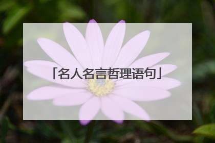 名人名言哲理语句