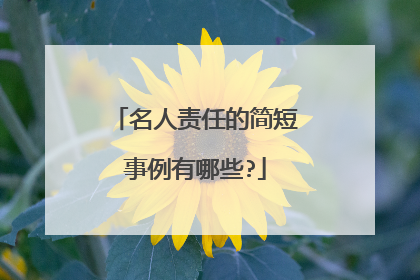 名人责任的简短事例有哪些?