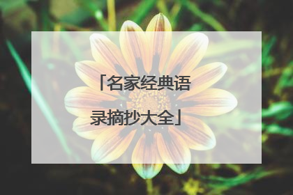 名家经典语录摘抄大全