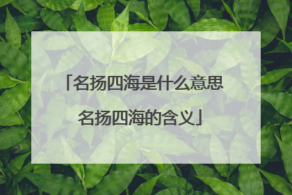 名扬四海是什么意思 名扬四海的含义