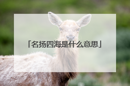 名扬四海是什么意思
