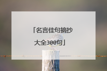 名言佳句摘抄大全300句