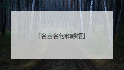 名言名句和感悟