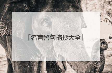 名言警句摘抄大全