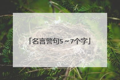 名言警句5~7个字