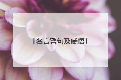 名言警句及感悟