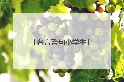 名言警句小学生