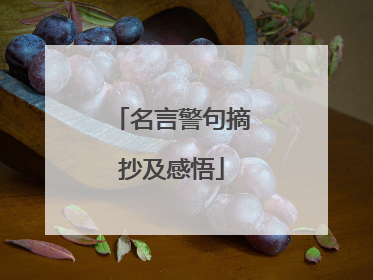 名言警句摘抄及感悟