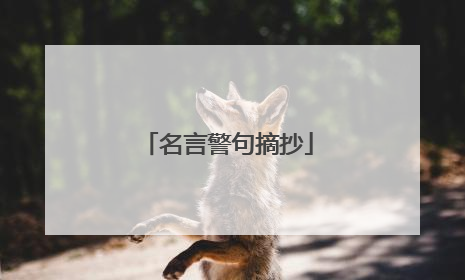 名言警句摘抄