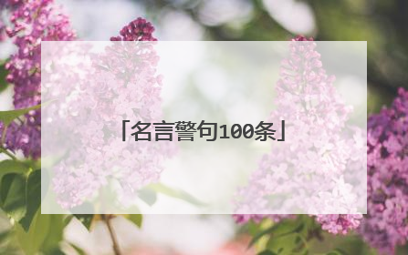 名言警句100条