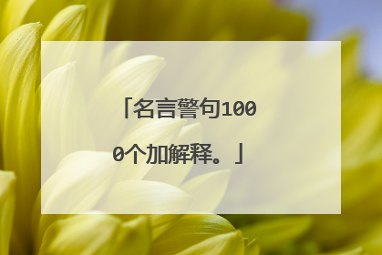 名言警句1000个加解释。