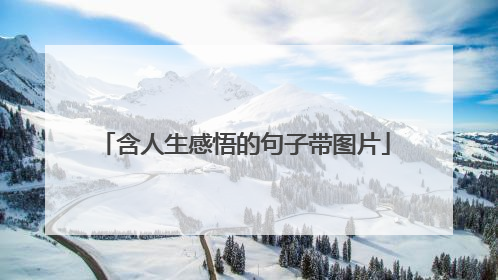 含人生感悟的句子带图片
