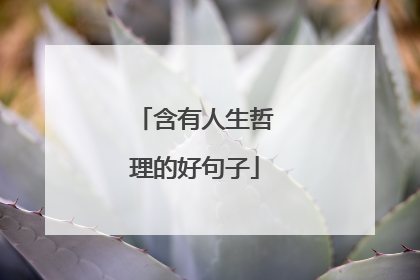 含有人生哲理的好句子