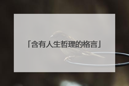 含有人生哲理的格言