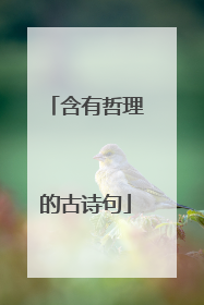 含有哲理的古诗句