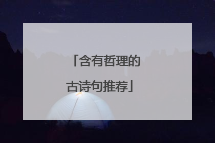 含有哲理的古诗句推荐