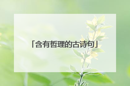 含有哲理的古诗句