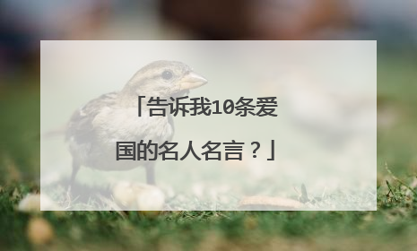 告诉我10条爱国的名人名言?