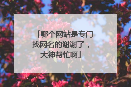 哪个网站是专门找网名的谢谢了,大神帮忙啊