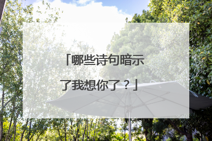 哪些诗句暗示了我想你了？