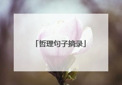 哲理句子摘录
