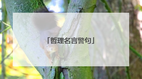 哲理名言警句