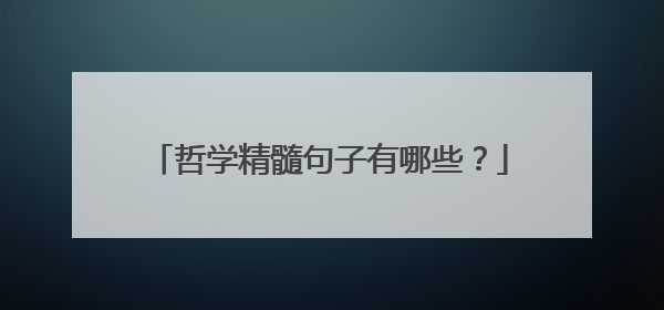 哲学精髓句子有哪些?