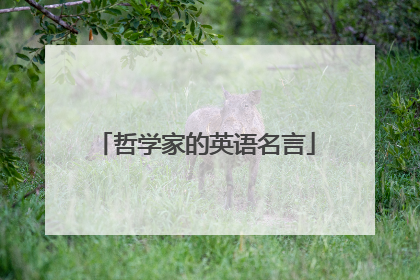 哲学家的英语名言