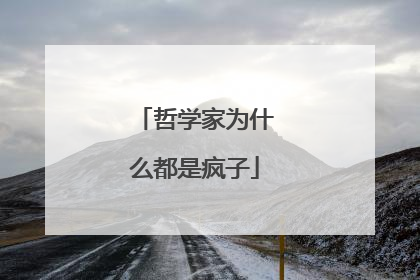 哲学家为什么都是疯子