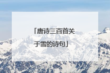 唐诗三百首关于雪的诗句