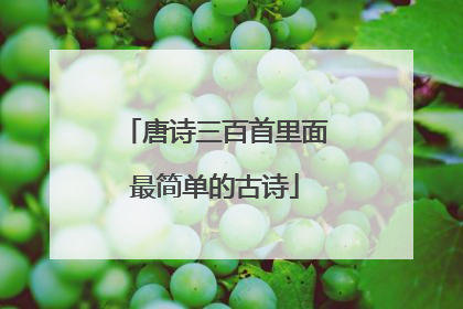 唐诗三百首里面最简单的古诗