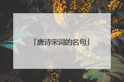 唐诗宋词的名句