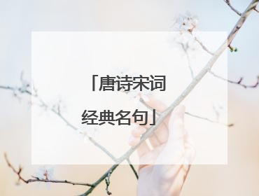 唐诗宋词经典名句