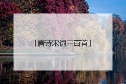 唐诗宋词三百首