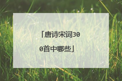 唐诗宋词300首中哪些
