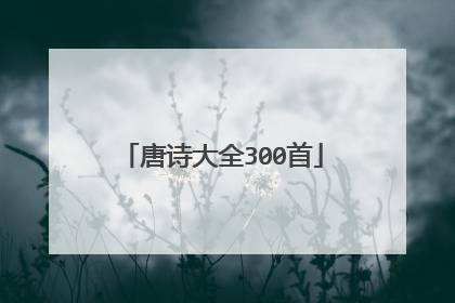 唐诗大全300首