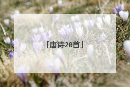 唐诗20首
