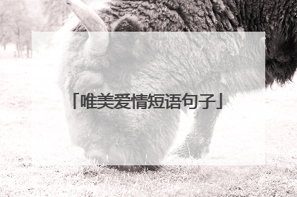 唯美爱情短语句子