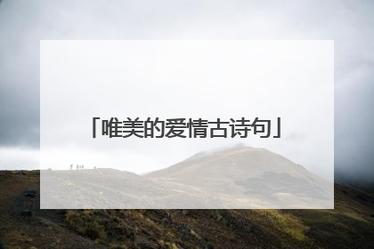 唯美的爱情古诗句