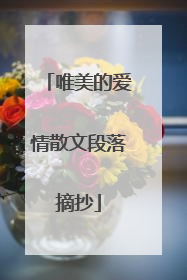 唯美的爱情散文段落摘抄